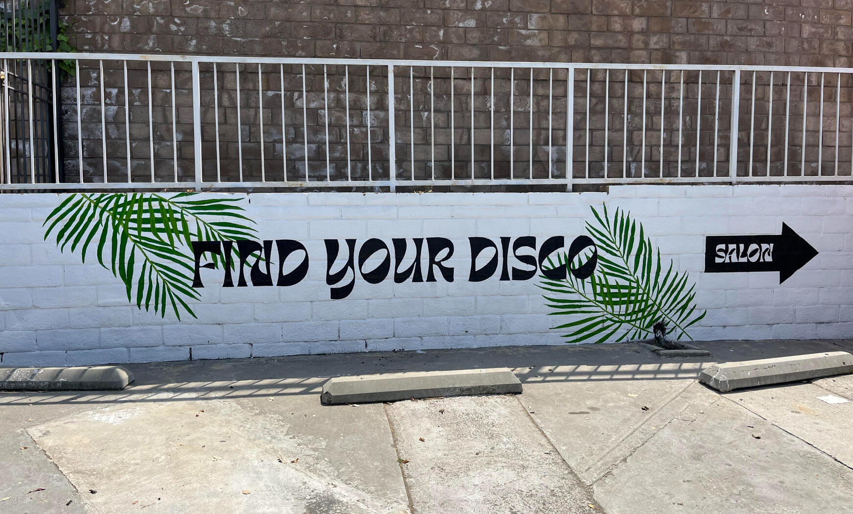 Find Your Disco Sign