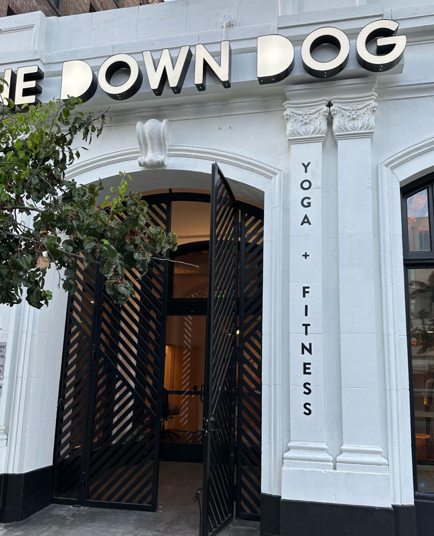 Water-based enamel on stucco for One Down Dog in East Hollywood (Los Angeles, CA)